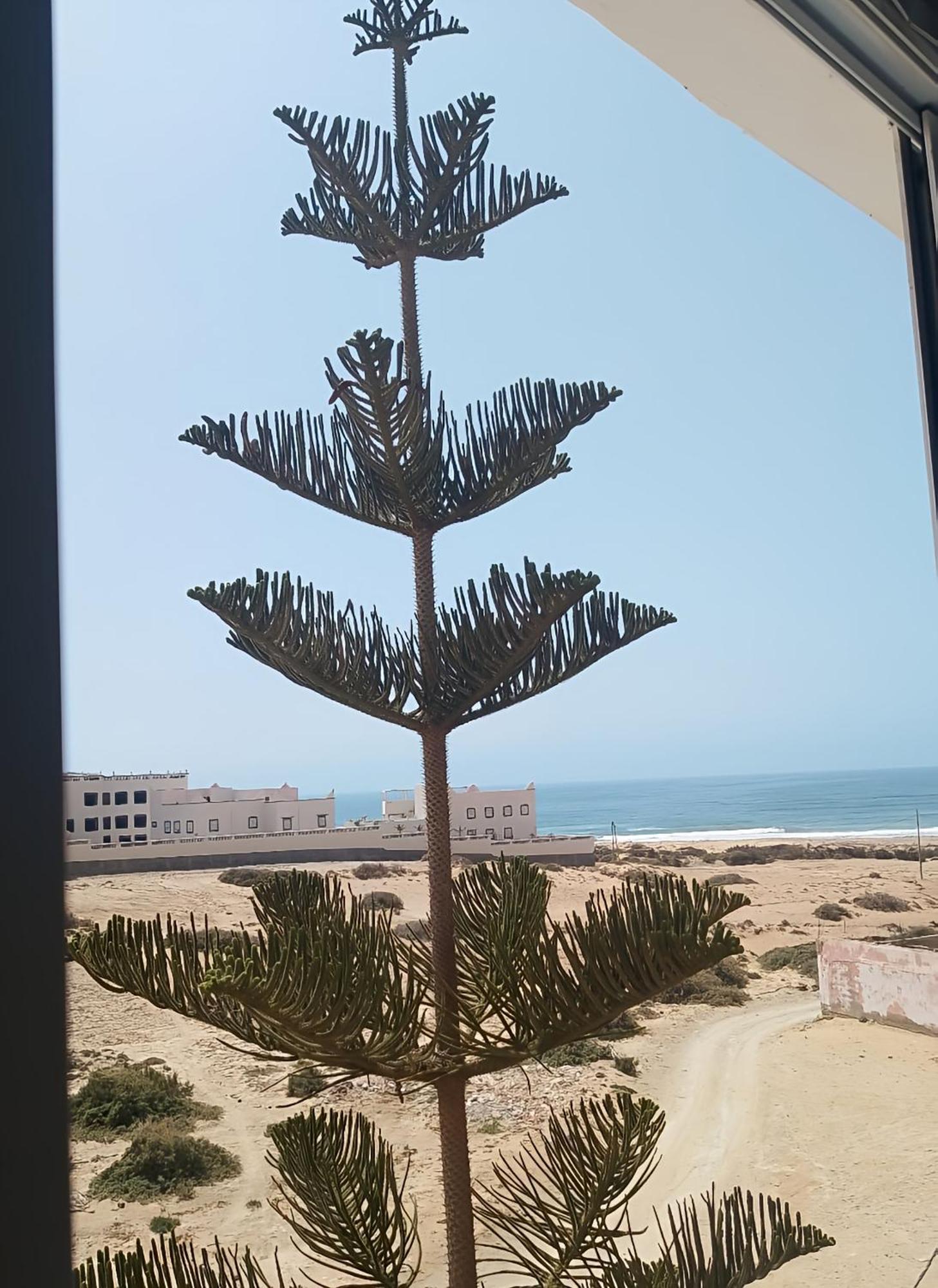 Tildi Surf House Hotell Imsouane Eksteriør bilde